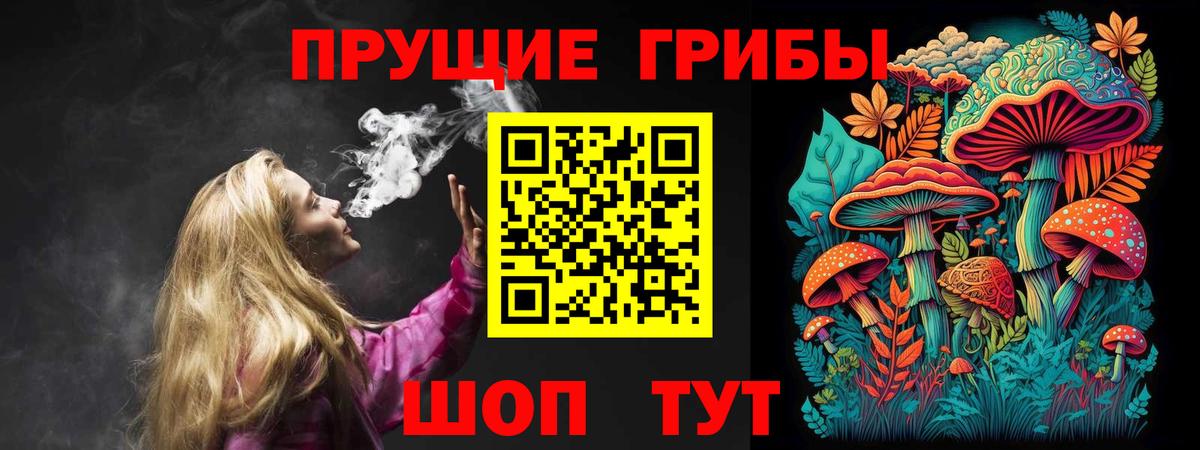 Галлюциногенные грибы MAGIC MUSHROOMS Каменка